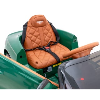 Bentley Bacalar Green