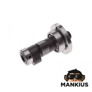 SKIRSNIS VELENAS ATV BASHAN 250