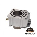 CILINDRINIS ATV 250 ST-9E DIA. 67,00 mm