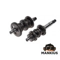ATV BASHAN BS250S-5 PAGRINDINIS IR SKAITINIS VELENAS