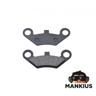PLOKŠTŲ RINKINYS, GALINIS STABDŽIS XY250ST-9C AUTOMATINIS
