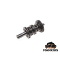 VELENAS, VARIANTIS ATV XY250 STXE