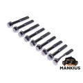 VARŽTŲ RINKINYS, VAROSIOS DIRŽO DANGALIS 4T (9Vnt.)