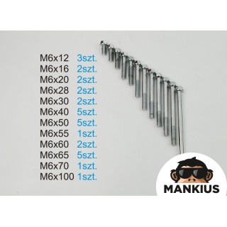 VARŽTŲ RINKINYS, VARIKLIS 139FMB