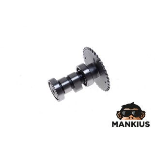 SKIRSNIS VELENAS GY6 4T 80ccm