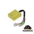 CDI UNIT, BWS 100