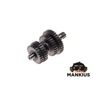 VARANTIO VELENO ASSY 4T, VERSIJA su adatiniais guoliais