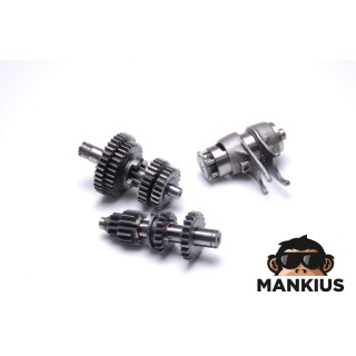 Transmisija / Pavarų dežės dantračių komplektas VARIKLIS ZC9001 4T