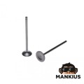 ĮSIurbimo IR IŠMETIMO VOŽTUVIŲ RINKINYS SUZUKI GN125 VER. B