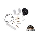 REMONTO RINKINYS, KARBIURATORIUS, CILINDRINIS DROSLAS 4T