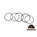 ŽIEDŲ RINKINYS, stūmoklis 39.00 GY6 50CC