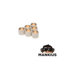 ROLLER SET, VARIATOR 16X13 5,5G H