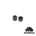 SEAL SET, VALVE STEM GY6 152QMI-E4