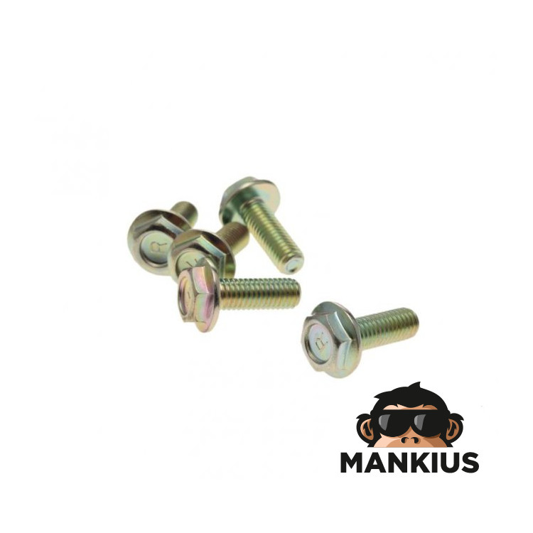 SPROKET BOLT (5VNT/RINKINYS), SKIRTAS Trigger X / CMPT X