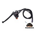 SWITCH ASSY, LH FOR Toros El Classico