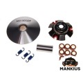 VARIATORIAUS ASSY B/B FIXED FACE NA125 TUNING