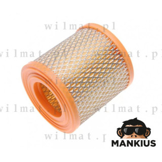 AIR FILTER ELEMENT TS 150