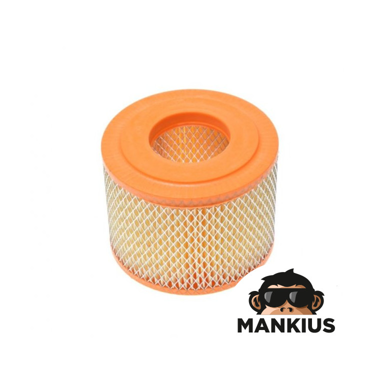 AIR FILTER ELEMENT TS 250