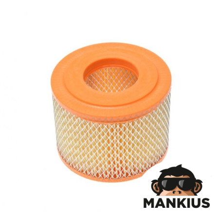 AIR FILTER ELEMENT TS 250