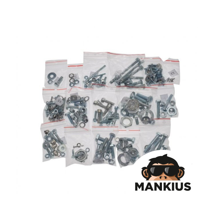 BOLT SET, ENGINE MOUNT MZ ETZ 250