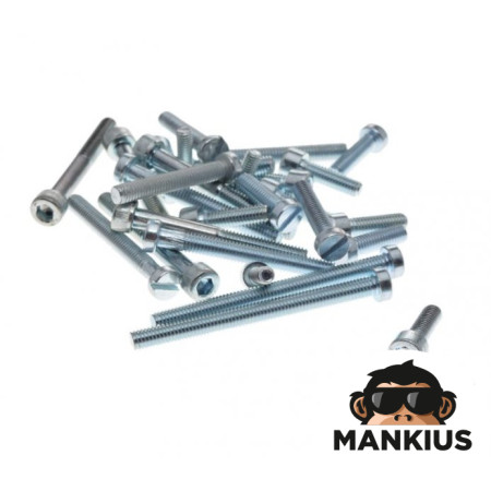 BOLT SET, ENGINE WSK125 SOCKET + SLOT