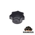 Dangtis, Akumuliatorius TS250