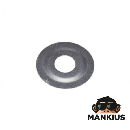 PLATE, CRANKSHAFT BEARING MZ 250