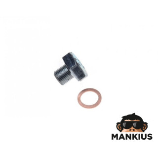 PLUG, CRANKCASE OIL DRAIN WSK125 M10