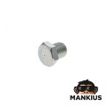 PLUG, OIL DRAIN S51