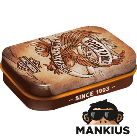 MINTBOX HARLEY DAVIDSON BORN 81455 4 Vnt