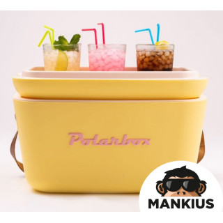 POLARBOX AMARILLO 20L