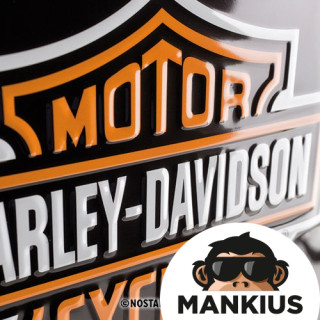 SALAVO ŽENKLAS 30X40 HARLEY-DAVIDSON 23130