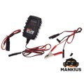 AKUMULIATORIŲ ĮKROVIKLIS 12V