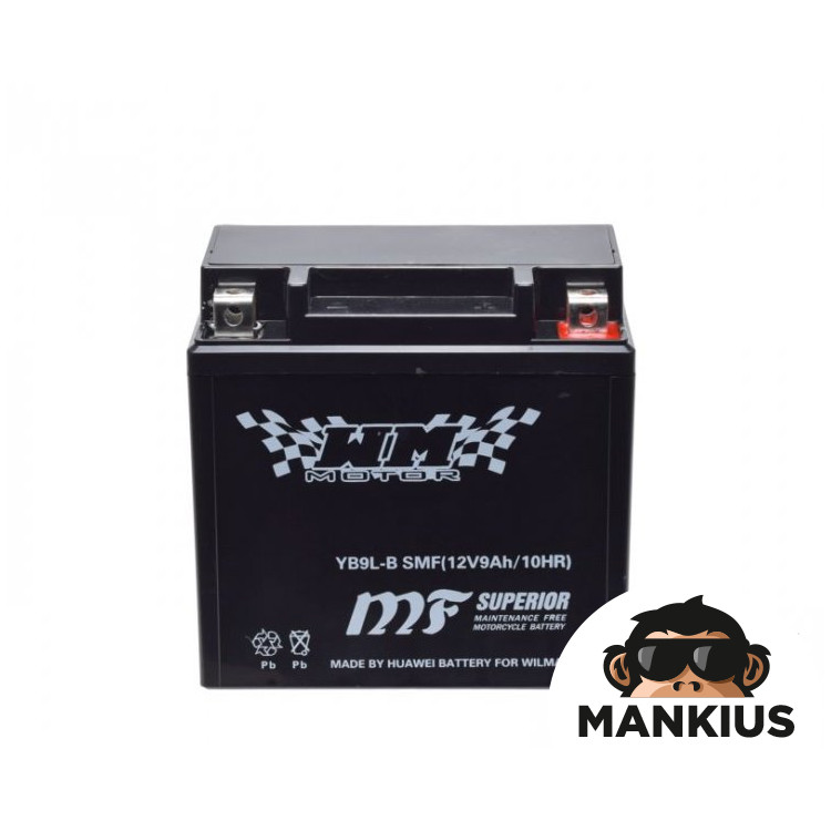 AKUMULIATORIUS YB9L-B WM MOTOR 12 V SMF