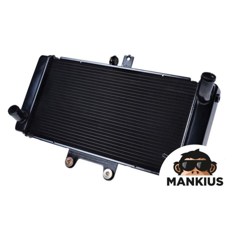 RADIATOR, COOLANT FOR SUZUKI GSF650