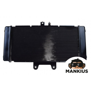 RADIATOR, COOLANT FOR SUZUKI GSF650