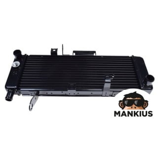 RADIATOR, COOLANT FOR SUZUKI SV650S