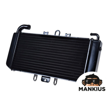 RADIATOR, COOLANT FOR YAMAHA FZS600