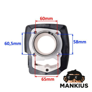 CILINDRŲ RINKINYS 57,30 DĖL 172FMM-2