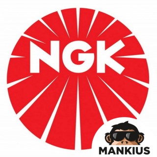 C6HSA UŽDEGIMO ŽVAKĖ NGK
