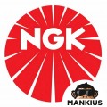 C6HSA UŽDEGIMO ŽVAKĖ NGK