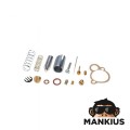 REMONTO RINKINYS, KARBIURATORIUS ROMETAS 16 vnt