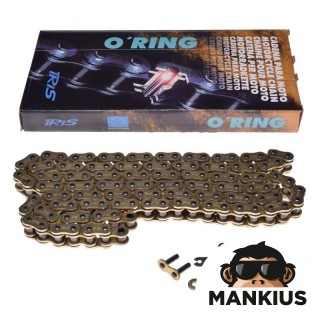 GRANDINĖ, VARIANTIS IRIS 428 O-ŽIEDAS 124L GOLD