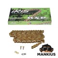 GRANDINĖ, VARIAMA IRIS 428 RACING RXP 134L GOLD