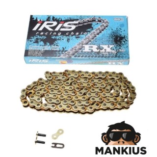 GRANDINĖ, VARIAMA IRIS 520 RACING RXL 112L GOLD