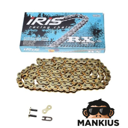 GRANDINĖ, VARIAMA IRIS 520 RACING RXL 112L GOLD