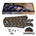 GRANDINĖ, VARIANTIS IRIS 530 FB 118L GOLD