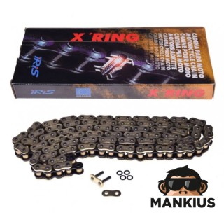 GRANDINĖ, VARIANTIS IRIS 530 X-RING 112L GOLD