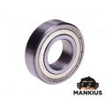 GUOLIS, KUMULYS 6004 ZZ