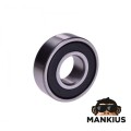GUOLIS, KUMULYS 6202 2RS FT POL
